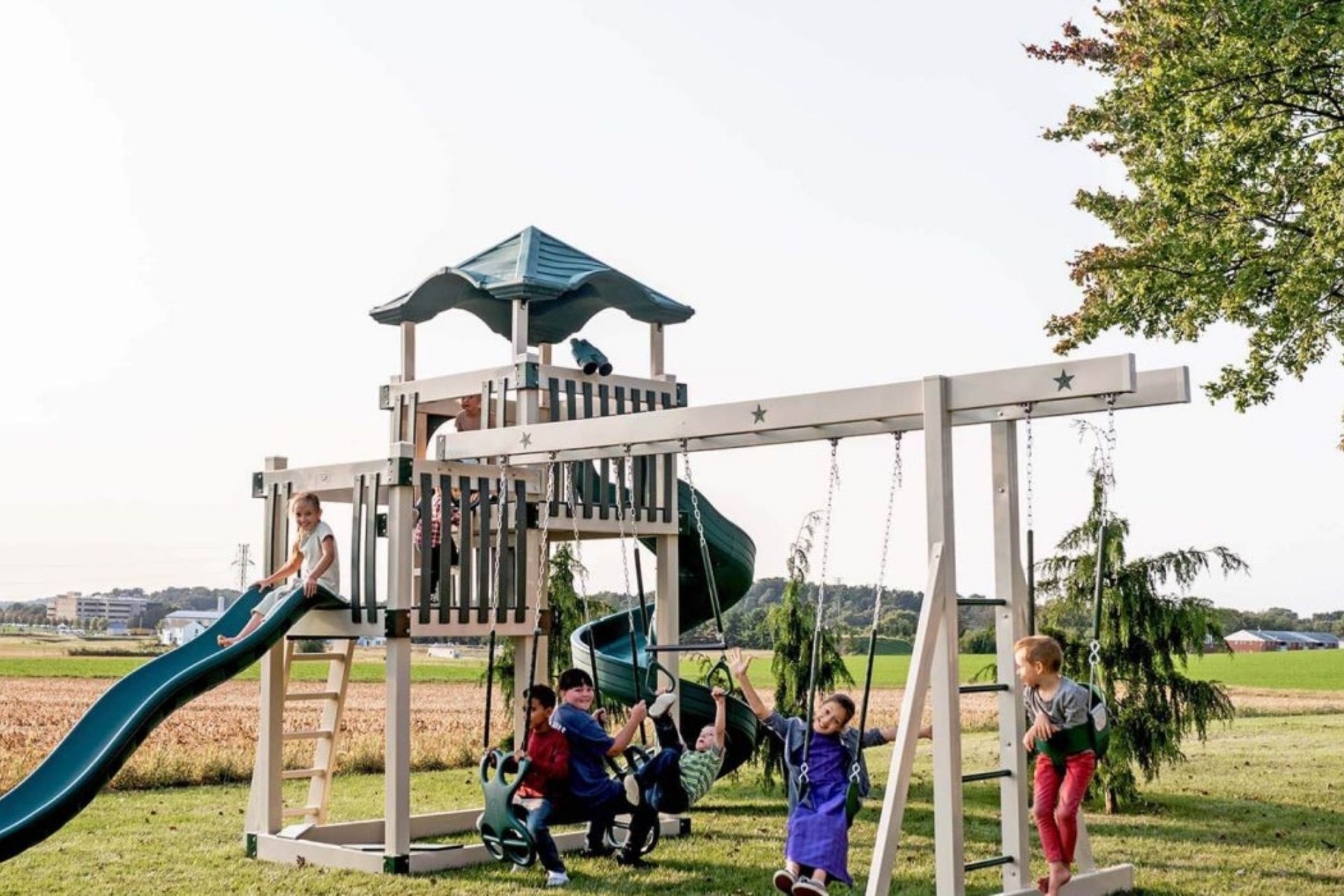 Swingset option for kids