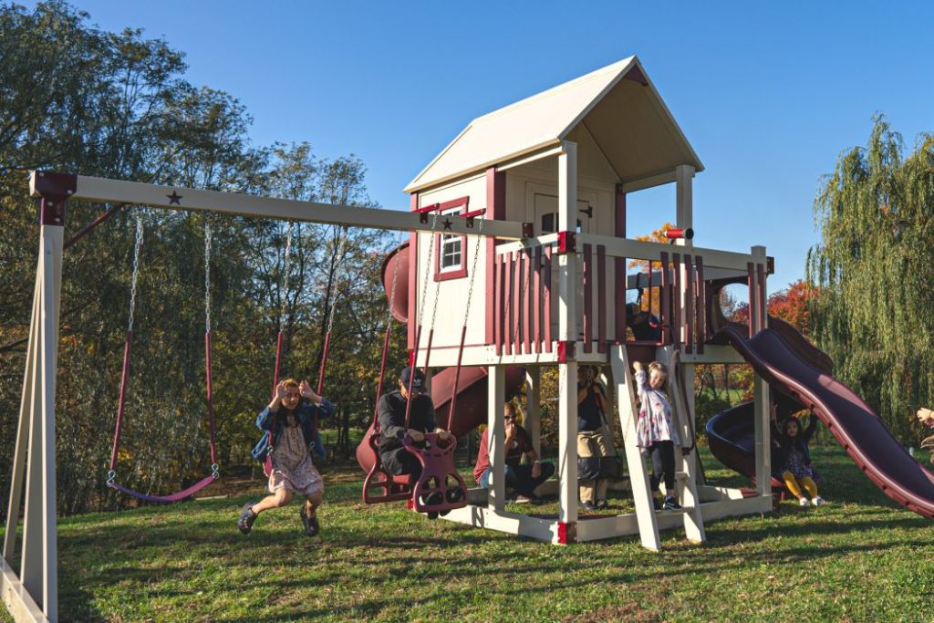 Contemporary backyard swing set color ideas